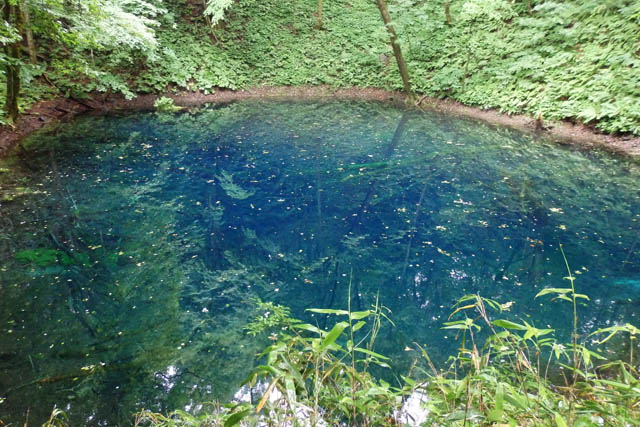 Shirakami Mountains, a World Natural Heritage Site | jyuniko