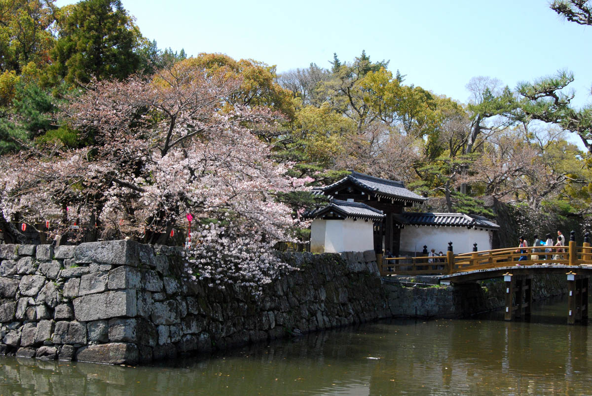 Japanese Heritage Sites Wakayama Castle Sakura