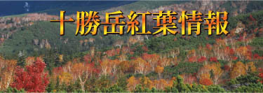 japan Heritage Sites