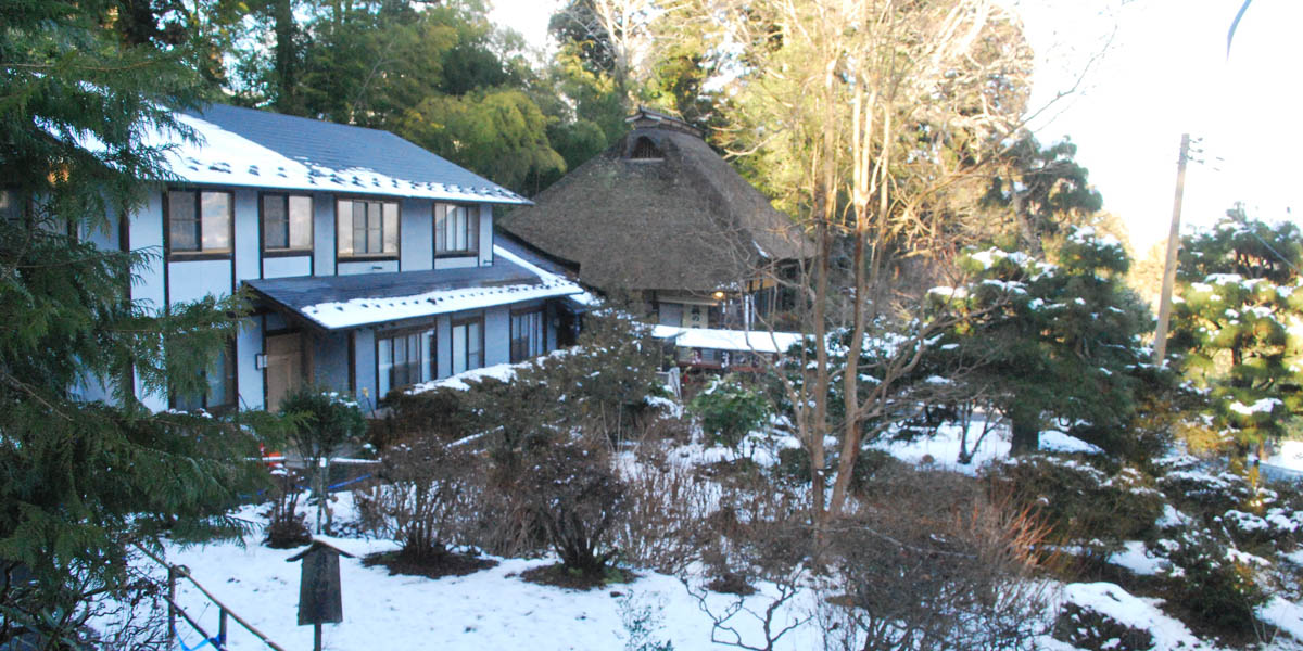 Japanese Heritage Sites Thatched roof