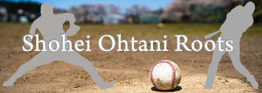 japan Heritage Sites